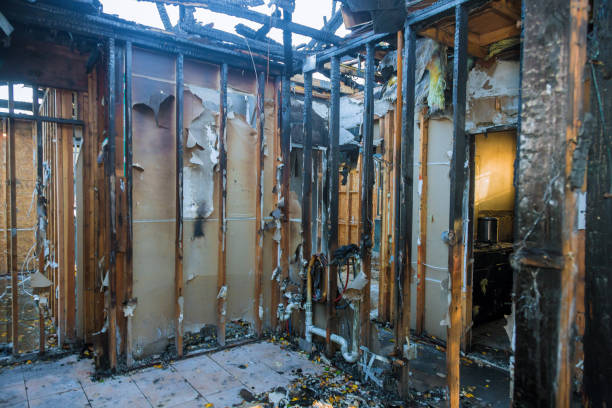 Professional Emergency Fire Cleanup technician working in La Grange Park, IL